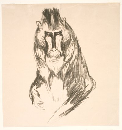 Goril (Mandril) by Edvard Munch
