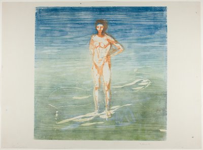 adam banyo by Edvard Munch