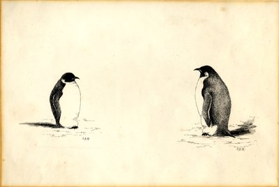 imparator penguenler by Edward Adrian Wilson