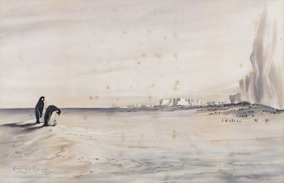 İmparator Penguen Rookery, Cape Crozier by Edward Adrian Wilson