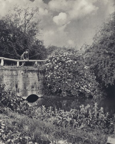  by Edward Alfred Barton
