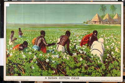 'Empire Trade is Growing' serisinden bir Sudan Pamuk Tarlası (renkli lito) by Edward Barnard Lintott