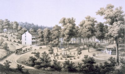 Stribling Springs, Spa Köyü, Augusta Ülkesi, 1858 by Edward Beyer