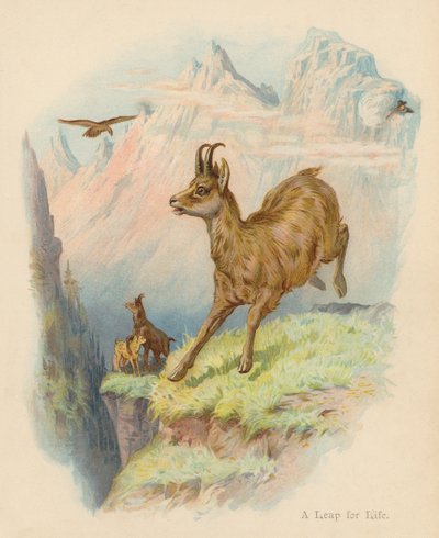 A Leap for Life (renkli taş baskı) by Edward Brice Montefiore