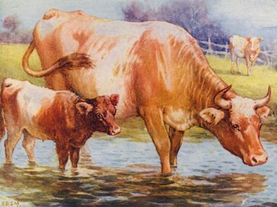 İnekler ve buzağı (renkli lito) by Edward Brice Montefiore