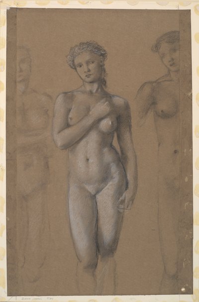 Kadın Çıplak - Üç Çalışma, muhtemelen Venüs için by Edward Burne Jones