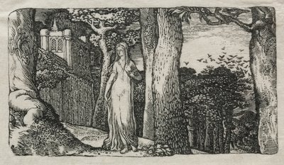Leydi ve Kaleler by Edward Calvert