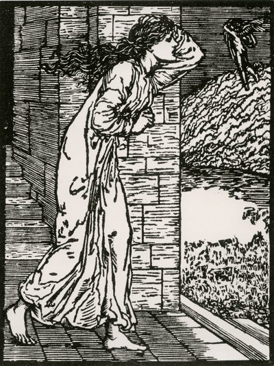 Saraydan fırlayan ruh by Edward Coley (after) Burne Jones