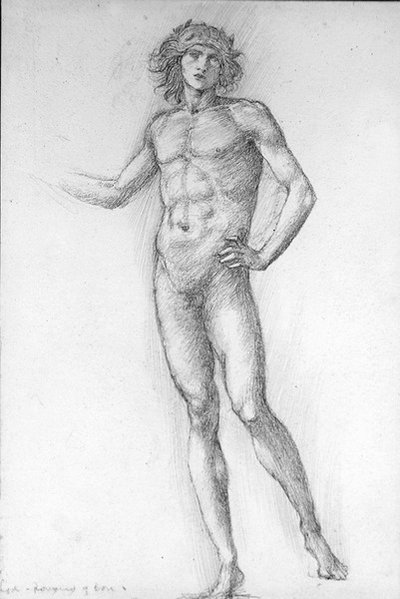 Aşk, Gülün Romanı by Edward Coley Burne Jones