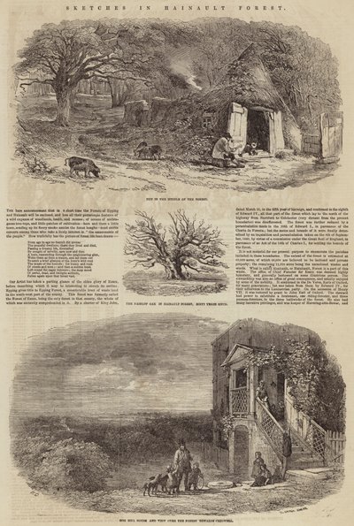 Hainault Ormanı