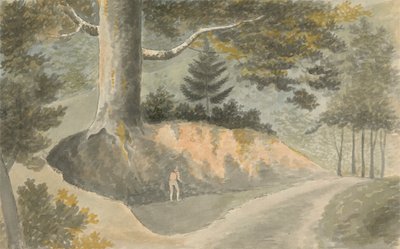 Ormandaki Yol by Edward Francis Burney