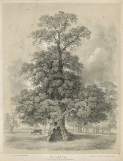 Hyde Park, Londra