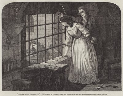 Picciola; ya da Hapishane Çiçeği by Edward Henry Wehnert
