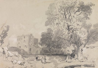 Harap Bir Kule Ev by Edward Lear