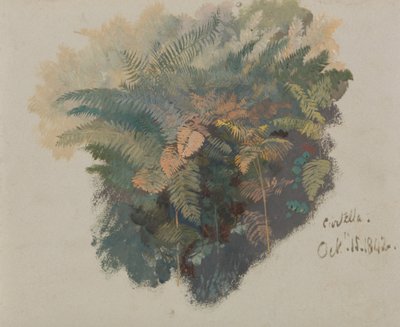 by Edward Lear