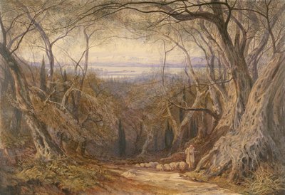 Korfu by Edward Lear