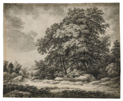 Orman Manzarası by Edward Lear