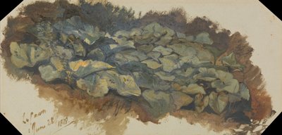  by Edward Lear