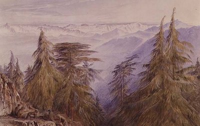 Simla, Kuzey Hindistan yakınlarındaki bir kayalıkta maymunlar by Edward Lear