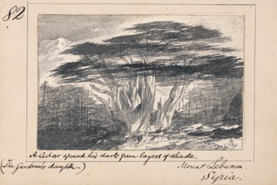 Lübnan Dağı, Suriye - Bir sedir koyu yeşil gölge katmanlarını yaydı by Edward Lear