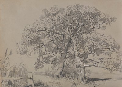 Kuzey Stoke. 21 Ekim 1834. by Edward Lear