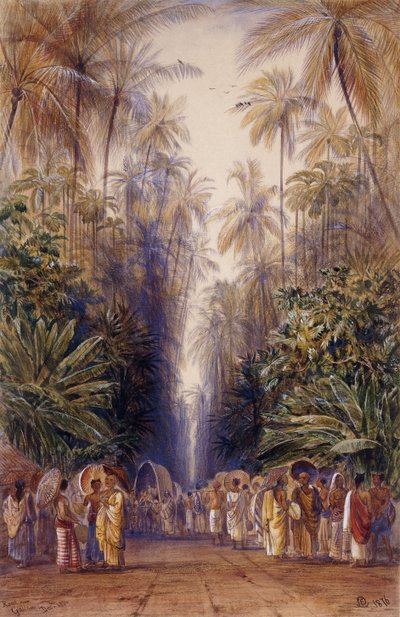 Galle Yolunda, Seylan by Edward Lear