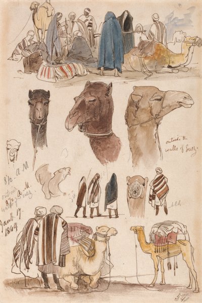  by Edward Lear
