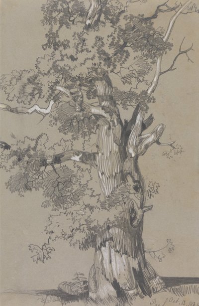  by Edward Lear