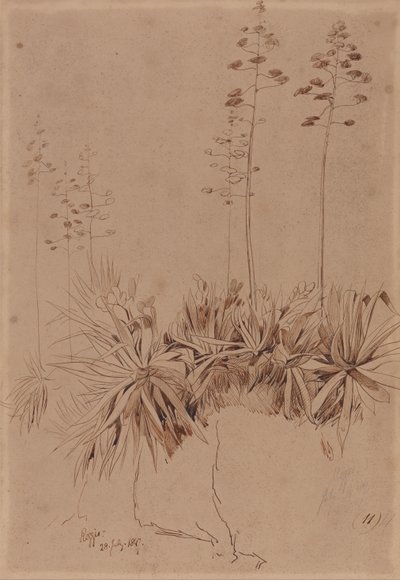  by Edward Lear
