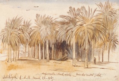  by Edward Lear