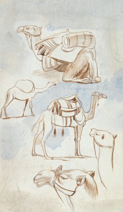  by Edward Lear