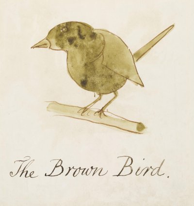 The Brown Bird, On Altı Çizgi Roman Çiziminden (kağıt üzerinde kalem ve mürekkep wc) by Edward Lear