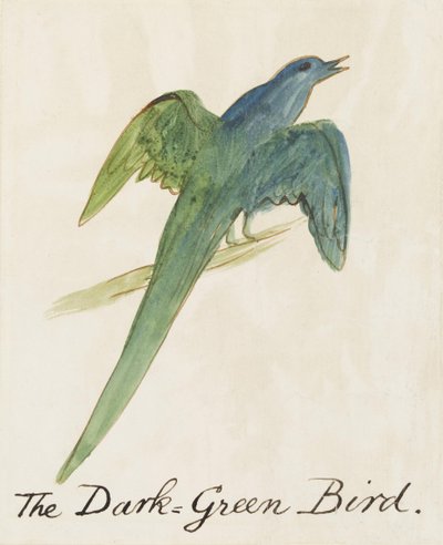 Comic Birds