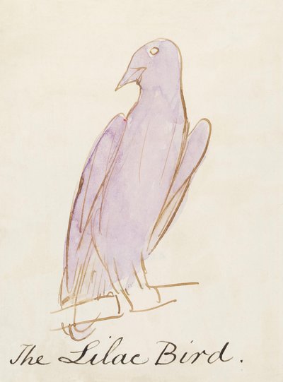 Çizgi Roman Kuşlarının On Altı Çiziminden Leylak Kuşu (kağıt üzerine kalem ve mürekkep wc) by Edward Lear