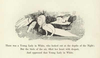 Gecenin derinliklerine bakan Beyazlı bir Genç Hanım vardı. by Edward Lear