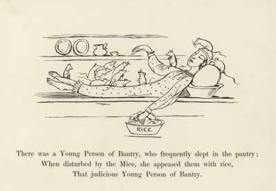 There was a Young Person of Bantry, who frequently slept in the pantry  by Edward Lear