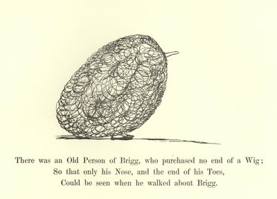 There was an Old Person of Brigg, who purchased no end of a Wig  by Edward Lear