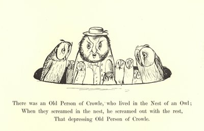 There was an Old Person of Crowle, who lived in the Nest of an Owl  by Edward Lear