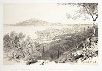 Castle Hill