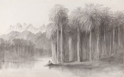  by Edward Lear