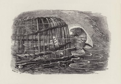 Charles Kingsley
