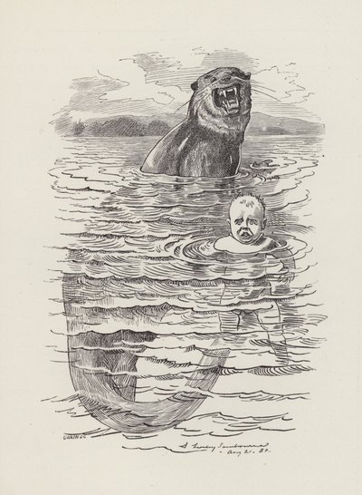 Charles Kingsley'nin Su Bebekleri için illüstrasyonu (gravür) by Edward Linley (after) Sambourne