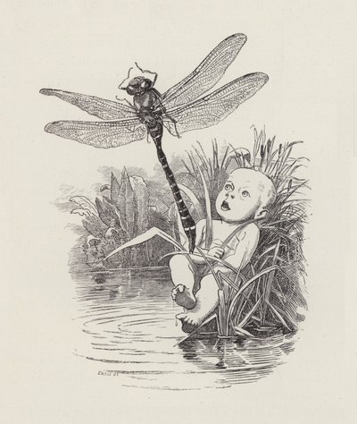 Charles Kingsley