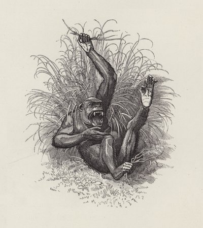 Charles Kingsley