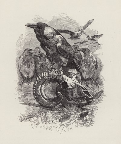 Charles Kingsley