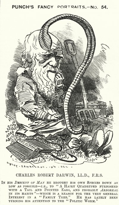 Punch karikatür: Charles Darwin, İngiliz doğa bilimci ve biyolog (gravür) by Edward Linley (after) Sambourne