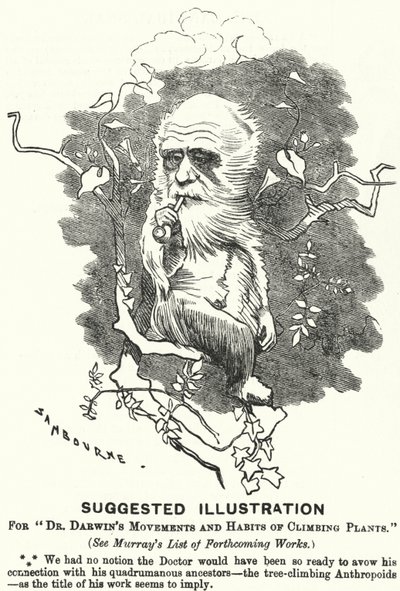 Yumruk karikatürü: Dr Darwin
