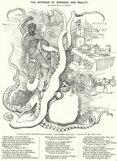 Yumruk karikatürü: Romantizm ve Gerçekliğin Ahtapotu (gravür) by Edward Linley (after) Sambourne