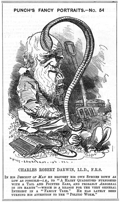 Charles Darwin (1809-1882) İngiliz doğa bilimci. Doğal Seleksiyon Yoluyla Evrim. Edward Linley Sambourne (1844-1910) tarafından Punch