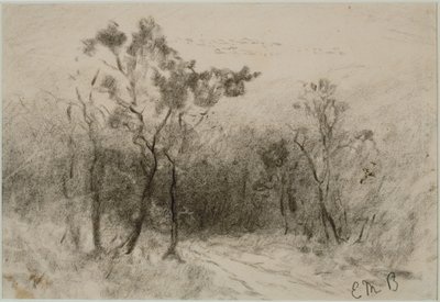Yollu Manzara (#51), c. 1880'ler (kağıt üzerinde kömür) by Edward Mitchell Bannister